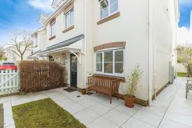 Image result for Newton Abbott Knights