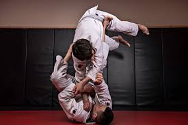 Image result for Brazilian-martial arts