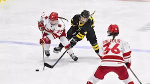 Image result for Norton Cyclones Skater Hockey Club