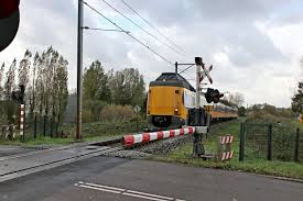 Image result for koploper