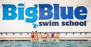 Image result for BigBlueSurfSchool
