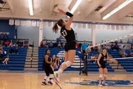 Image result for York University Volleyball Club