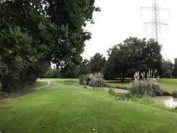 Image result for Weybourne Gym Club