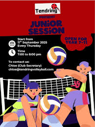 Image result for Tendring Volleyball Club