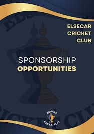 Image result for Elsecar Cricket Club