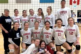 Image result for Chesterfield Cobras Volleyball Club