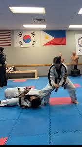 Image result for Moo Sool Academy