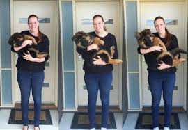 「アレックス・シェパード」の画像検索結果