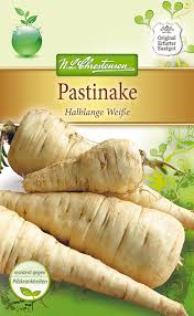 Image result for Pastinake