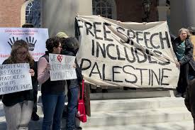 Image result for Cambridge Free Fight