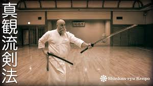 Image result for Budo Shin Ryu Kempo Jujitsu Academy