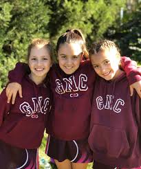 Image result for Greencroft Netball Club