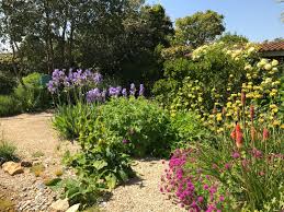 Image result for Wootton Road Runners