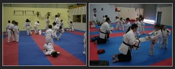 Image result for Chikara Dojo Of Kyokushin Karate