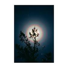 Attēlu rezultāti vaicājumam “pollen corona”