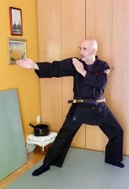 Image result for Inyo Karate Do Ninbukan