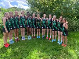 Image result for Erewash pixies netball club