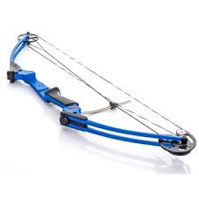 Image result for Blue Arrows Archery Club