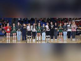 Image result for Beacon Volleyball Club