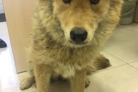 Image result for site:buyreklama.ru/*