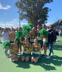 Image result for Aylesbury Jnl Netball Club