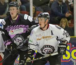 Image result for Basingstoke Bison Ice Hockey Club