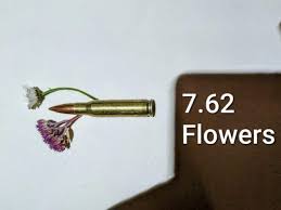 Image result for GPnow