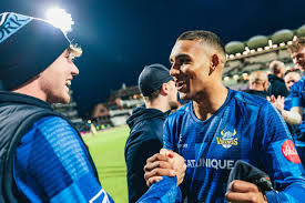 Image result for Gilberdyke Cricket Club