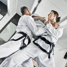 Image result for Tae-jitsu