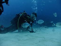 Image result for Leicester Underwater Exploration Club