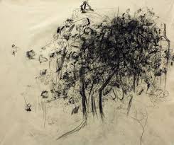 Image result for borte h