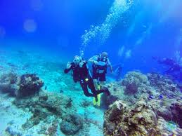 Resultado de imagen para cozumel dive