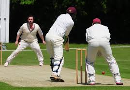Image result for Swardeston Cricket Club