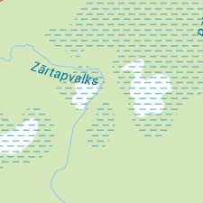 Attēlu rezultāti vaicājumam “Licea chelonoides”