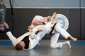 Image result for Brazilian-martial arts
