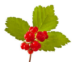 Attēlu rezultāti vaicājumam “Rubus saxatilis leaf”