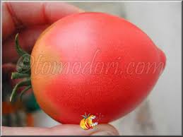 Afbeeldingsresultaat voor grubbs mystery green tomato