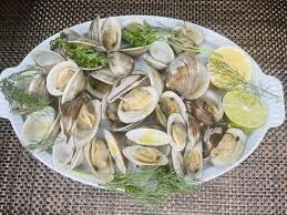 Image result for Clams