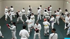 Image result for University of Bristol Shorinji Kempo Club