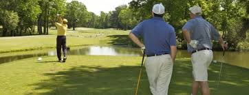 Image result for Greetham Valley Golf Club