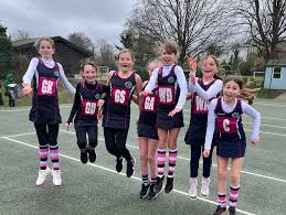 Image result for Fetcham Netball Club