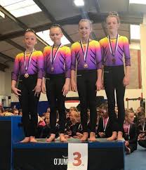 Image result for Cardiff Olympic Gymnastics Club