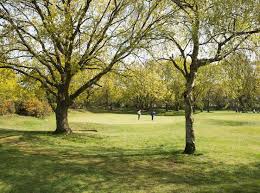 Image result for Rushmere Golf Club
