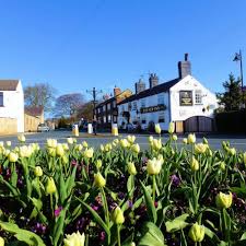 Image result for Barwick In Elmet Cricket Club