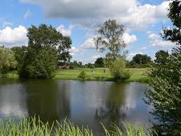 Image result for Billingbear Park Golf Club