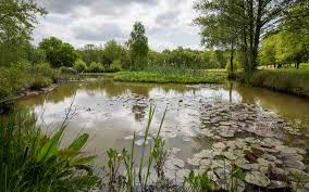 Image result for Chiddingfold Golf Club