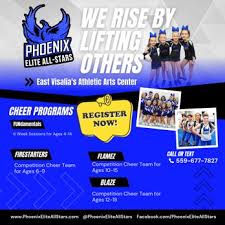 Image result for Phoenix Stars Cheerleaders