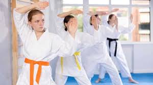 Image result for Intelligent Martial Arts