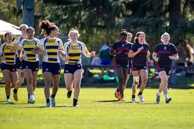 Image result for Rugby Ladies Badminton Club