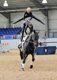 Image result for Scottish Equi Complex